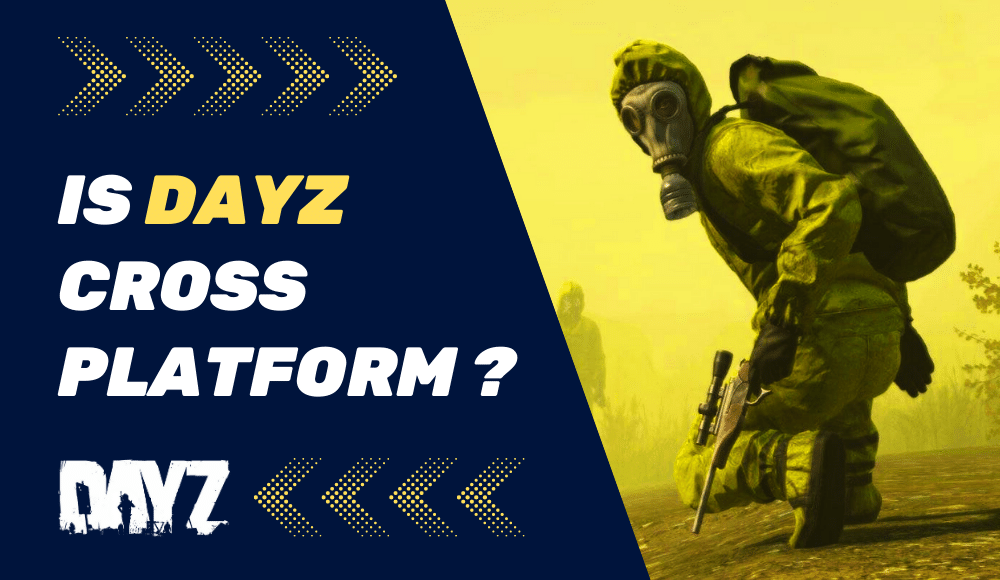 Is DayZ Crossplay? ᐅ Cross Platform Gaming